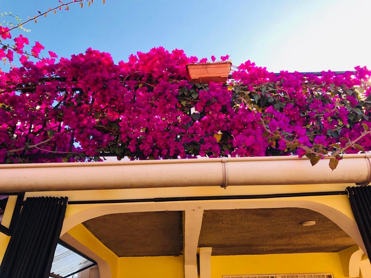 Petite Flower Guest House Talata-maty Екстер'єр фото