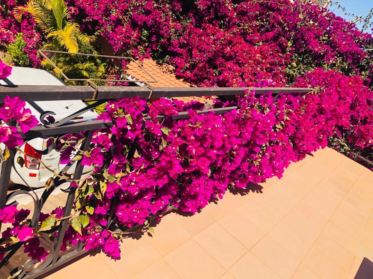 Petite Flower Guest House Talata-maty Екстер'єр фото